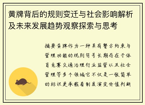 黄牌背后的规则变迁与社会影响解析及未来发展趋势观察探索与思考